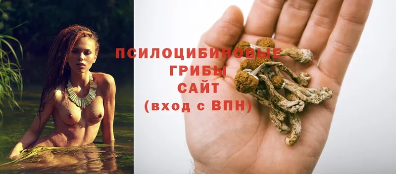 Галлюциногенные грибы MAGIC MUSHROOMS  blacksprut вход  Мурманск 